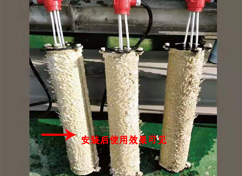 電化學除垢裝置